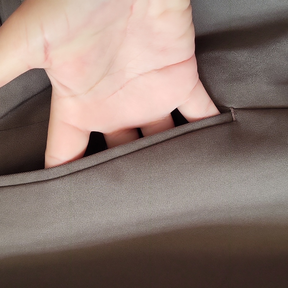 Louis Raphael Tailored Pants - Picture 3 of 16